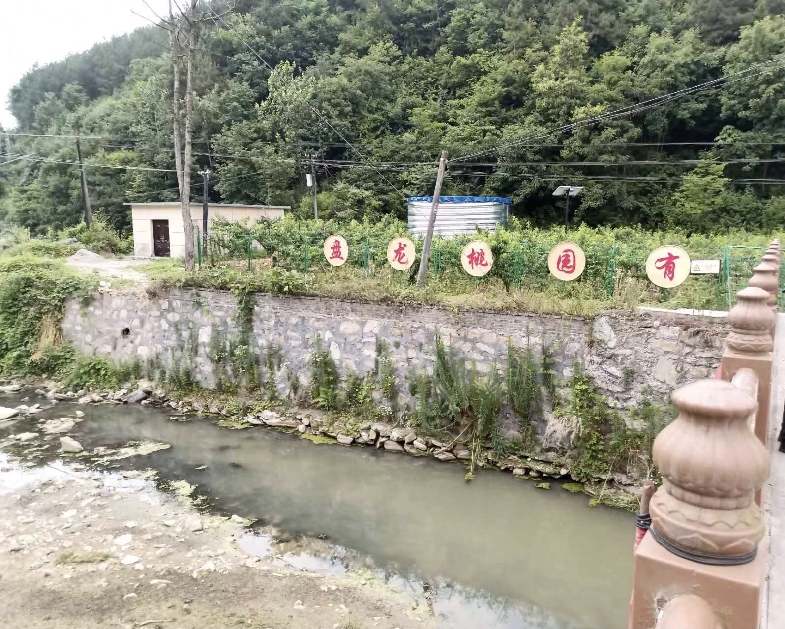 陜西漢陰盤龍桃花谷：鄉村旅遊的新興亮點