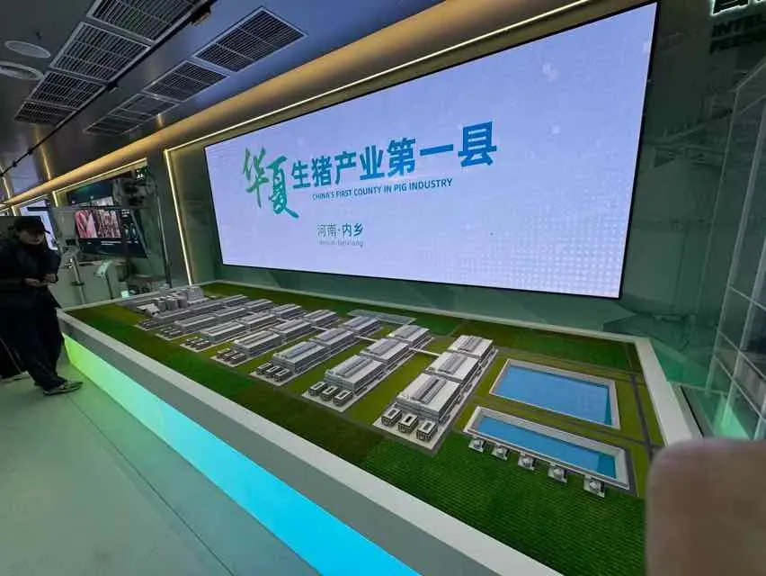 河南南陽生豬産業現代化蛻變 牧原引領科技養豬新潮流