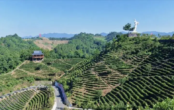 大陸好好玩》探秘茶海公園：陝西省商洛市商南縣新名片 感受商洛文化魅力